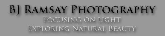 BJ Ramsay Photography